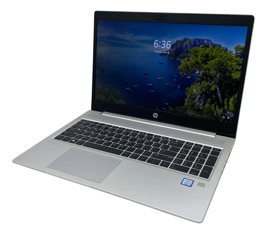 Notebook Hp Probook 450 G6 Core I5 Ssd256 M2, 16gb Win11 Pro Plateado